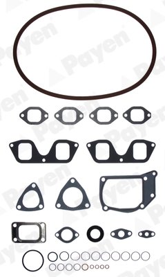 Set garnituri chiulasa Payen DV520