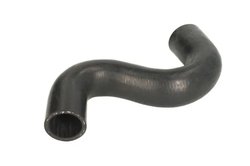 Furtun radiator Thermotec DWP101TT