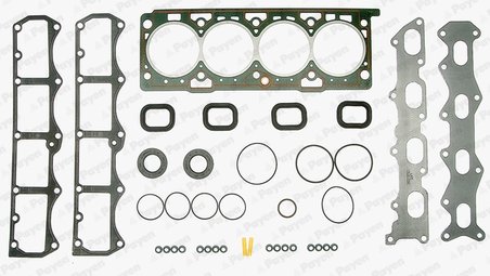 Set garnituri chiulasa Payen DX030