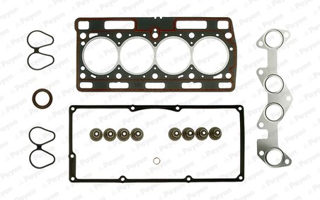 SET GARNITURI CHIULASA PAYEN DX630 - Compatibil cu NISSAN, RENAULT, SAN