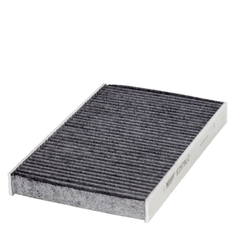 Filtru aer habitaclu Hengst Filter E2979LC
