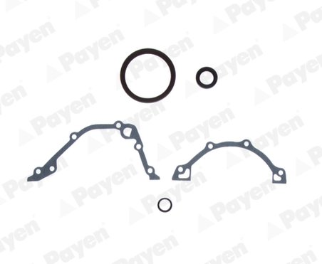 SET GARNITURI CARTER PAYEN EE5242 - Compatibil cu ALFA ROMEO, FIAT, FIAT (NANJING), LANCIA, TATA, ZASTAVA
