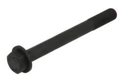 SURUB CHIULASA ENGITECH ENT005002 - Piesa auto compatibila cu mai multe marci