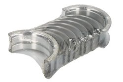 Set cuzineti arbore cotit / vibrochen ENGITECH ENT074503 025