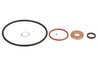 Kit reparatie injectoare ENGITECH ENT250496