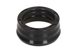 INEL ETANSARE, INJECTOR ENGITECH ENT250522 - Compatibil cu CITROEN, FIAT, IVECO, PEUGEOT