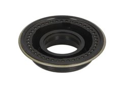 INEL ETANSARE, INJECTOR ENGITECH ENT250524 - Piesa auto compatibila cu mai multe marci