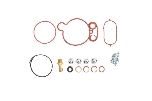 SET REPARATIE, POMPA VACUUM (SISTE FRANA) ENGITECH ENT410009 - Compatibil cu VW