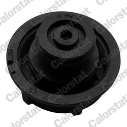 VAS EXPANSIUNE LICHID RACIRE CALORSTAT BY VERNET ET0044C1 - Compatibil cu FORD