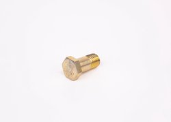 Surub BOSCH F 002 D13 579