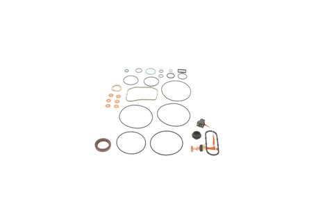 Set garnituri pompa injectie BOSCH F 00N 300 365