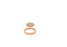 Garnitura BOSCH F 00R 0P1 462