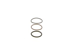 chit reparatie,unitate pompa-diuza BOSCH F 00V X99 892