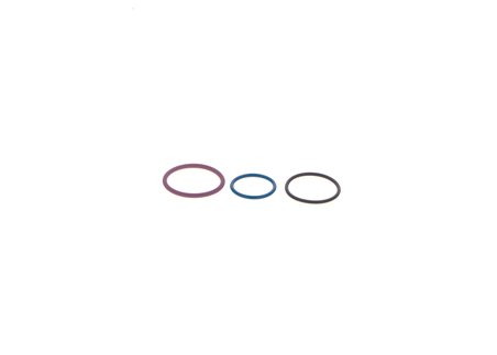 chit reparatie,unitate pompa-diuza BOSCH F 00V X99 999