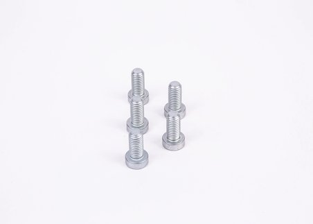 Surub BOSCH F 01M 100 684
