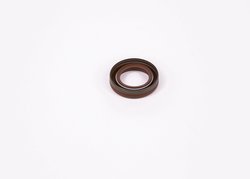 Garnitura BOSCH F 01M 100 984