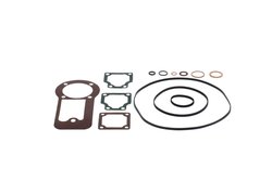 SET GARNITURI, REGLAJ FORTA CENTRIFUGA-POMPA INJECTIE BOSCH F 026 T03 032 - Compatibil cu ASTON MARTIN, MERCEDES-BENZ