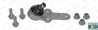 PIVOT MOOG FD-BJ-0425 - Compatibil cu FORD