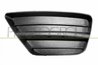GRILA VENTILATIE, BARA PROTECTIE PRASCO FD4222124 - Compatibil cu FORD