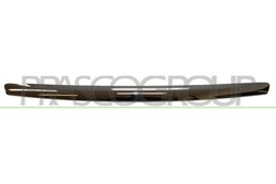 Banda de protectie, grila radiator Prasco FD4262206