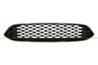 Grila radiator Prasco FD4302011