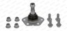 PIVOT MOOG FI-BJ-0513 - Compatibil cu CITROEN, FIAT, PEUGEOT