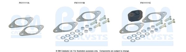 SET MONTAJ, FILTRU FUNINGINE/PARTICULE BM CATALYSTS FK11111 - Compatibil cu FORD