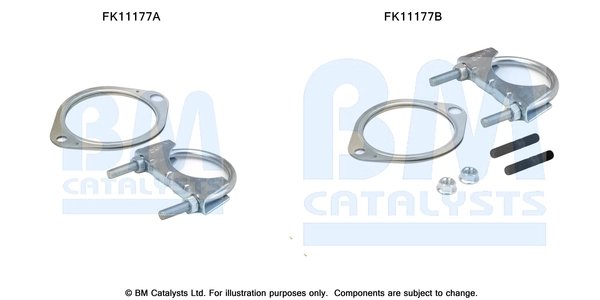 SET MONTAJ, FILTRU FUNINGINE/PARTICULE BM CATALYSTS FK11177 - Compatibil cu RENAULT