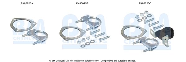 Set montaj catalizator BM Catalysts FK80025