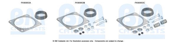 SET MONTAJ CATALIZATOR BM CATALYSTS FK90953 - Compatibil cu PEUGEOT