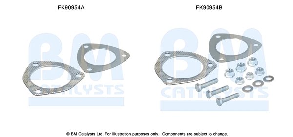 SET MONTAJ CATALIZATOR BM CATALYSTS FK90954 - Compatibil cu AUDI, SKODA, VW