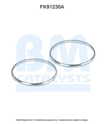 SET MONTAJ CATALIZATOR BM CATALYSTS FK91230 - Compatibil cu CHEVROLET, DAEWOO