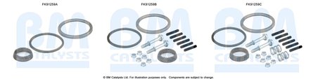 SET MONTAJ CATALIZATOR BM CATALYSTS FK91259 - Compatibil cu NISSAN
