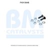Set montaj catalizator BM Catalysts FK91364
