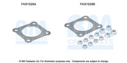 SET MONTAJ CATALIZATOR BM CATALYSTS FK91529 - Compatibil cu SEAT, VW