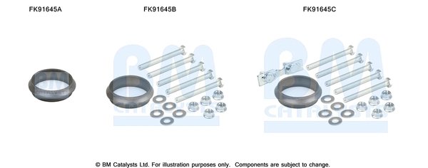 Set montaj catalizator BM Catalysts FK91645