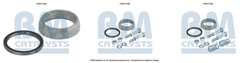 SET MONTAJ CATALIZATOR BM CATALYSTS FK91710 - Compatibil cu SUZUKI