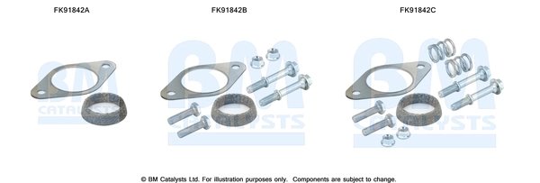 Set montaj catalizator BM Catalysts FK91842