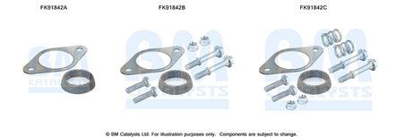 Set montaj catalizator BM Catalysts FK91842