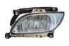 Proiector ceata Trucklight FL-DA007L