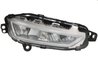 Proiector ceata Trucklight FL-VO014R