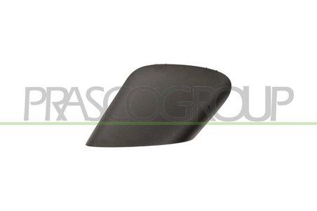capac, suport oglinda exterioara Prasco FT3427402