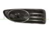 GRILA VENTILATIE, BARA PROTECTIE PRASCO FT4402123 - Compatibil cu FIAT