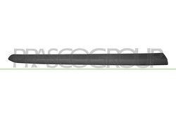 ELEMENTE DECORATIVE/PROTECTIE, PORTIERA PRASCO FT9101403 - Compatibil cu FIAT