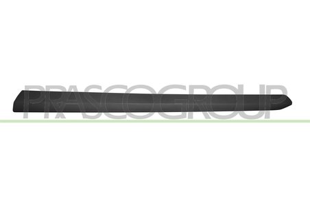 Elemente decorative/protectie, portiera Prasco FT9101404