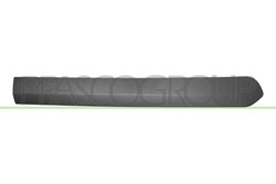 Elemente decorative/protectie, portiera Prasco FT9101453