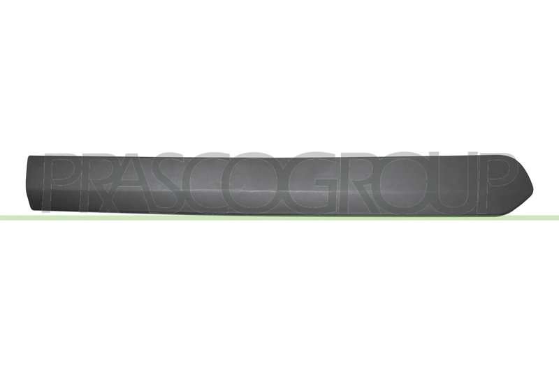 Elemente decorative/protectie, portiera Prasco FT9101453