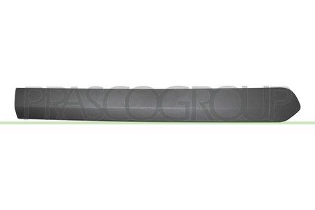 Elemente decorative/protectie, portiera Prasco FT9101453