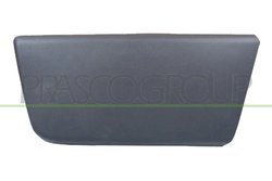 ELEMENTE DECORATIVE/PROTECTIE, PORTIERA PRASCO FT9301404 - Compatibil cu CITROEN, FIAT, PEUGEOT