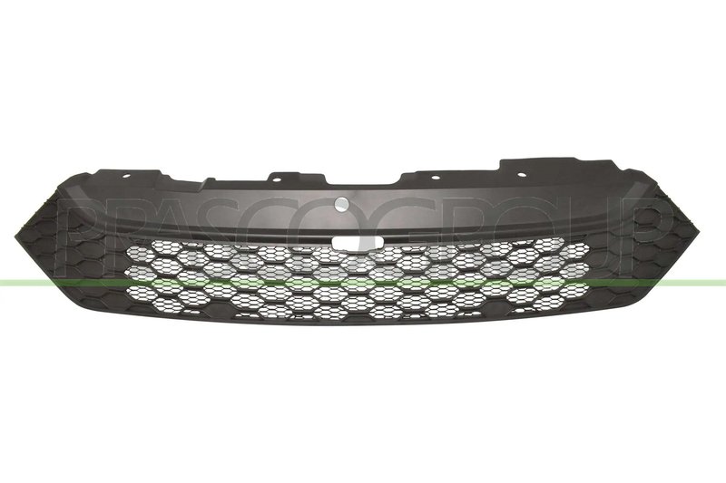 Grila radiator Prasco FT9502001